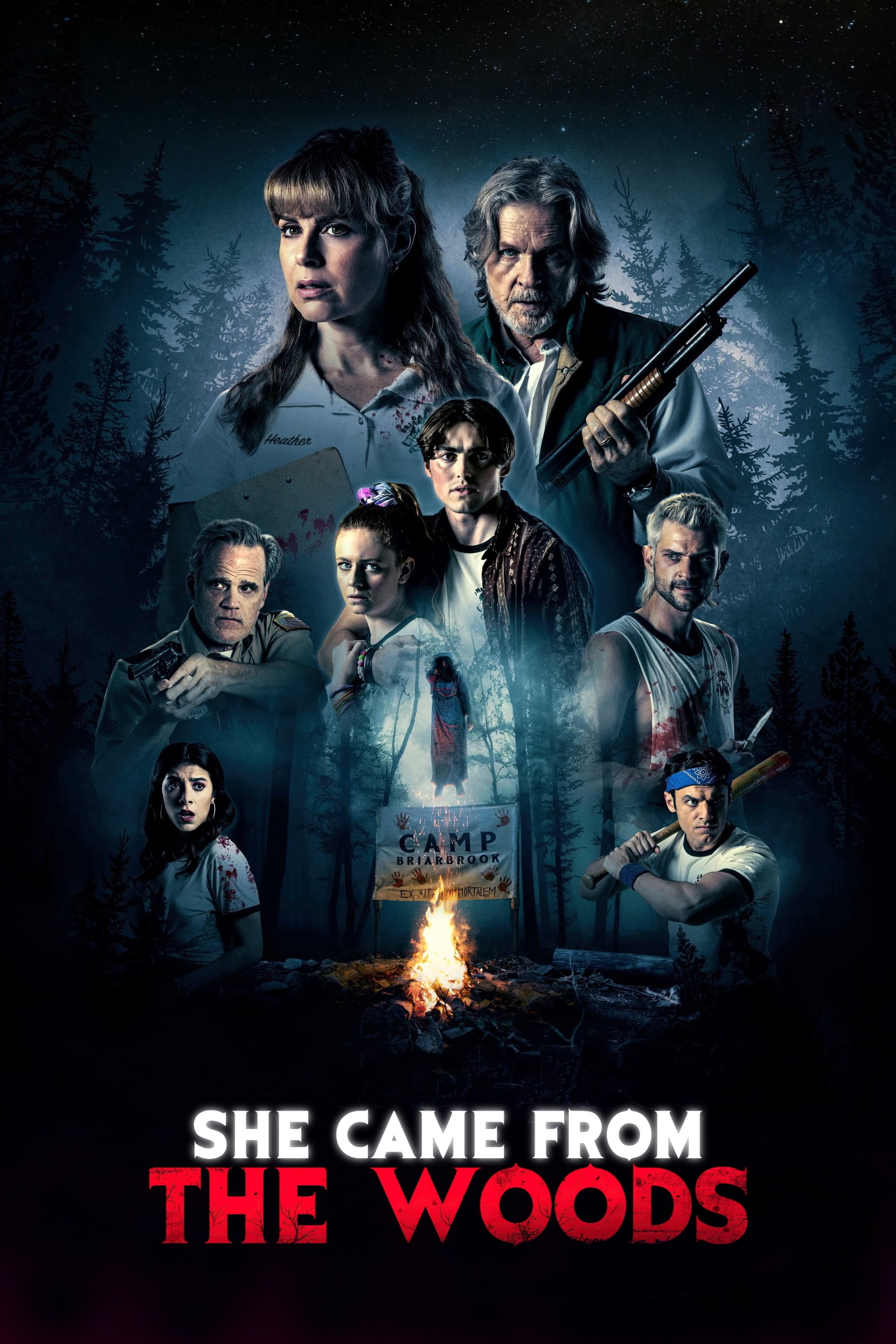 Постер She Came from the Woods